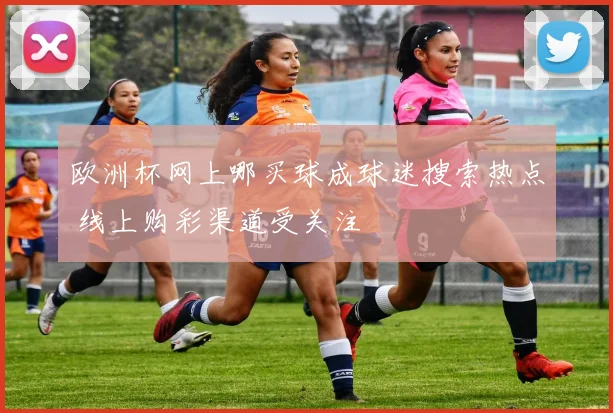 欧洲杯网上哪买球成球迷搜索热点 线上购彩渠道受关注