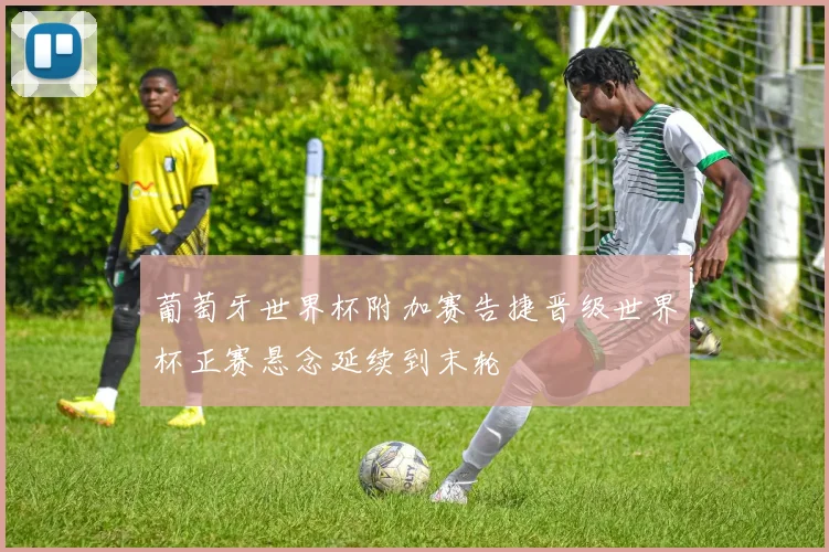 葡萄牙世界杯附加赛告捷晋级世界杯正赛悬念延续到末轮
