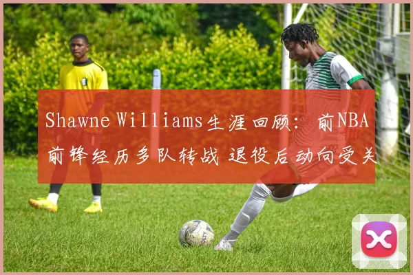 Shawne Williams生涯回顾：前NBA前锋经历多队转战 退役后动向受关注