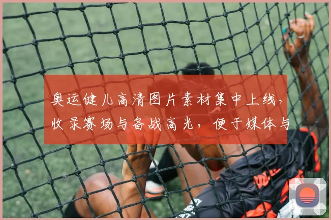 奥运健儿高清图片素材集中上线，收录赛场与备战高光，便于媒体与设计用途