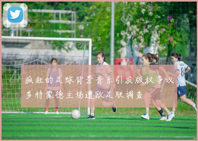 疯狂的足球背景音乐引发版权争议多特蒙德主场遭欧足联调查