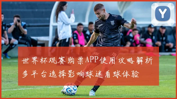 世界杯观赛购票APP使用攻略解析 多平台选择影响球迷看球体验